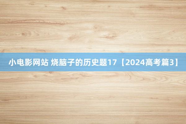 小电影网站 烧脑子的历史题17【2024高考篇3】