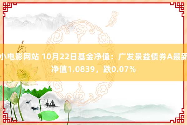 小电影网站 10月22日基金净值：广发景益债券A最新净值1.0839，跌0.07%