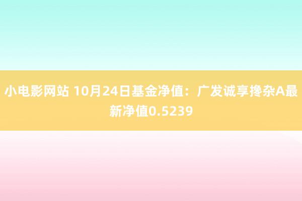 小电影网站 10月24日基金净值：广发诚享搀杂A最新净值0.5239