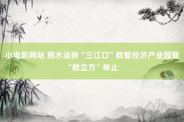 小电影网站 丽水运转“三江口”数智经济产业园暨“数立方”举止