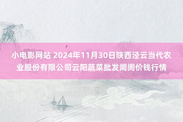 小电影网站 2024年11月30日陕西泾云当代农业股份有限公司云阳蔬菜批发阛阓价钱行情