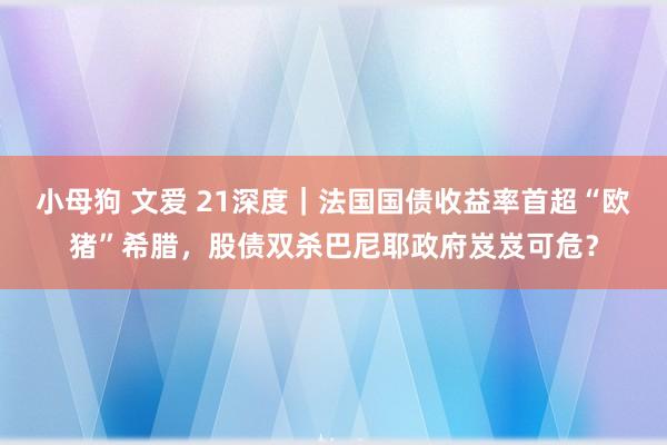 小母狗 文爱 21深度｜法国国债收益率首超“欧猪”希腊，股债双杀巴尼耶政府岌岌可危？