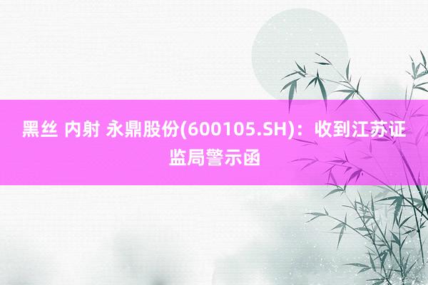 黑丝 内射 永鼎股份(600105.SH)：收到江苏证监局警示函