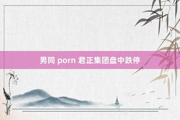 男同 porn 君正集团盘中跌停
