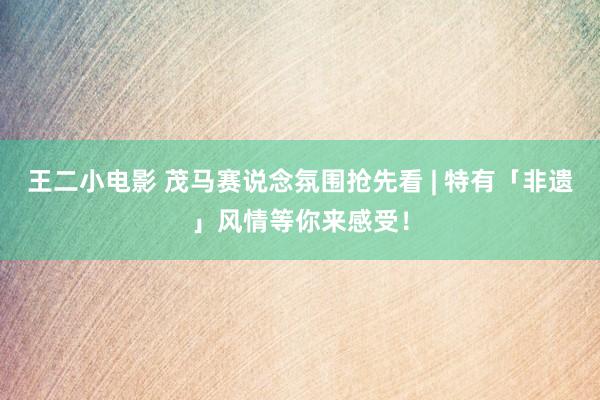 王二小电影 茂马赛说念氛围抢先看 | 特有「非遗」风情等你来感受！