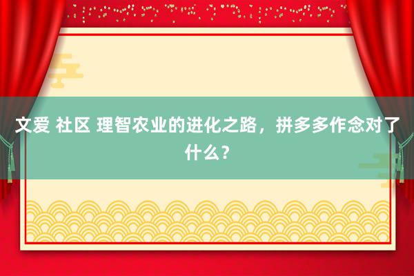 文爱 社区 理智农业的进化之路，拼多多作念对了什么？