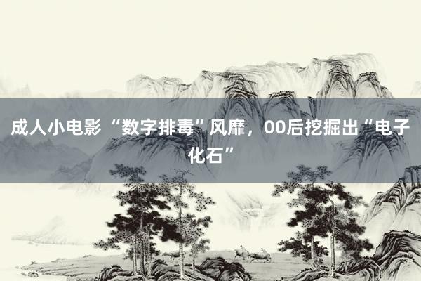 成人小电影 “数字排毒”风靡，00后挖掘出“电子化石”