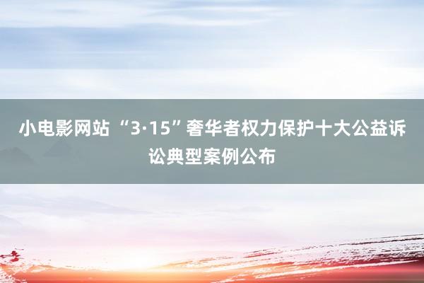 小电影网站 “3·15”奢华者权力保护十大公益诉讼典型案例公布