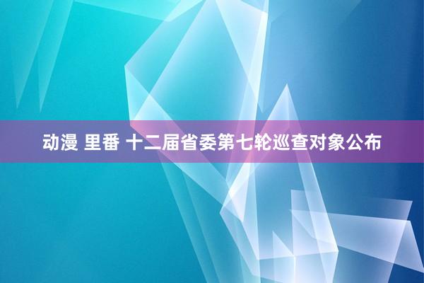 动漫 里番 十二届省委第七轮巡查对象公布