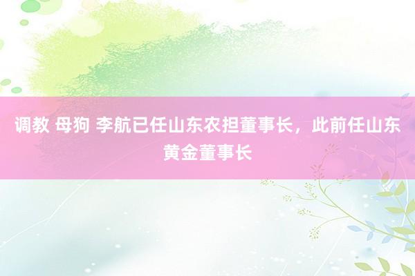 调教 母狗 李航已任山东农担董事长，此前任山东黄金董事长