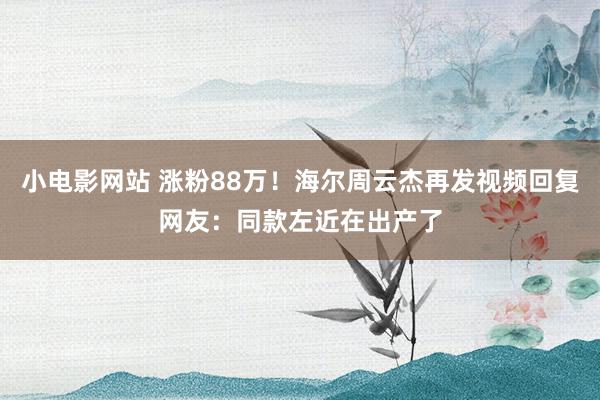 小电影网站 涨粉88万！海尔周云杰再发视频回复网友：同款左近在出产了