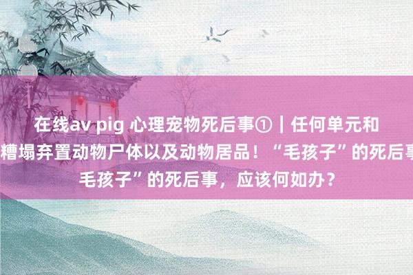 在线av pig 心理宠物死后事①｜任何单元和个东说念主不得糟塌弃置动物尸体以及动物居品！“毛孩子”的死后事，应该何如办？