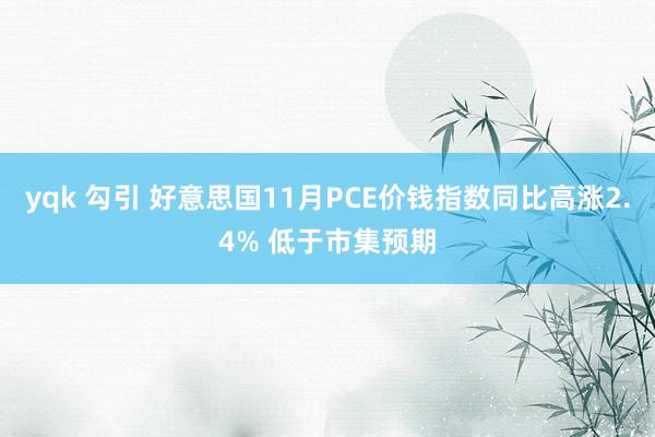 yqk 勾引 好意思国11月PCE价钱指数同比高涨2.4% 低于市集预期