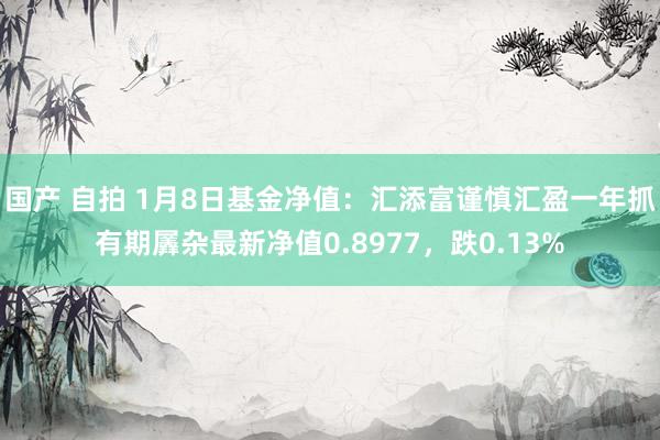 国产 自拍 1月8日基金净值：汇添富谨慎汇盈一年抓有期羼杂最新净值0.8977，跌0.13%
