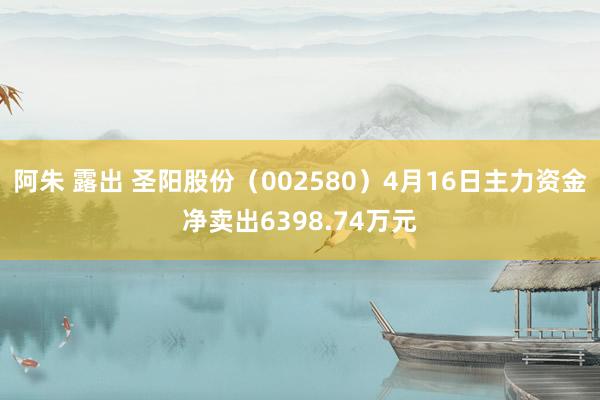阿朱 露出 圣阳股份（002580）4月16日主力资金净卖出6398.74万元